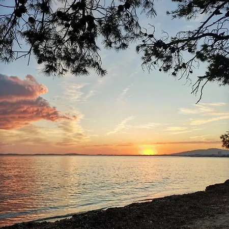 Calme A Giens , 2 Pas Du Port Et Des Plages 아파트